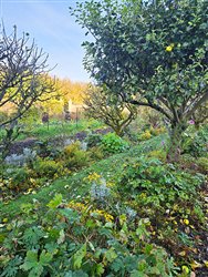 tourville-sur-arques (21)